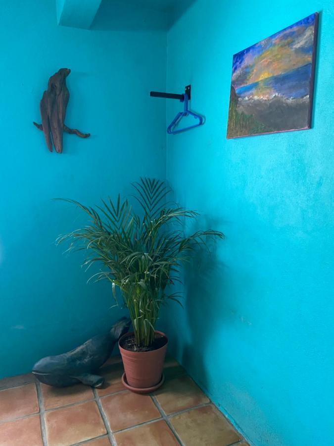 Bed and Breakfast Casa Xochitl El Centenario Экстерьер фото